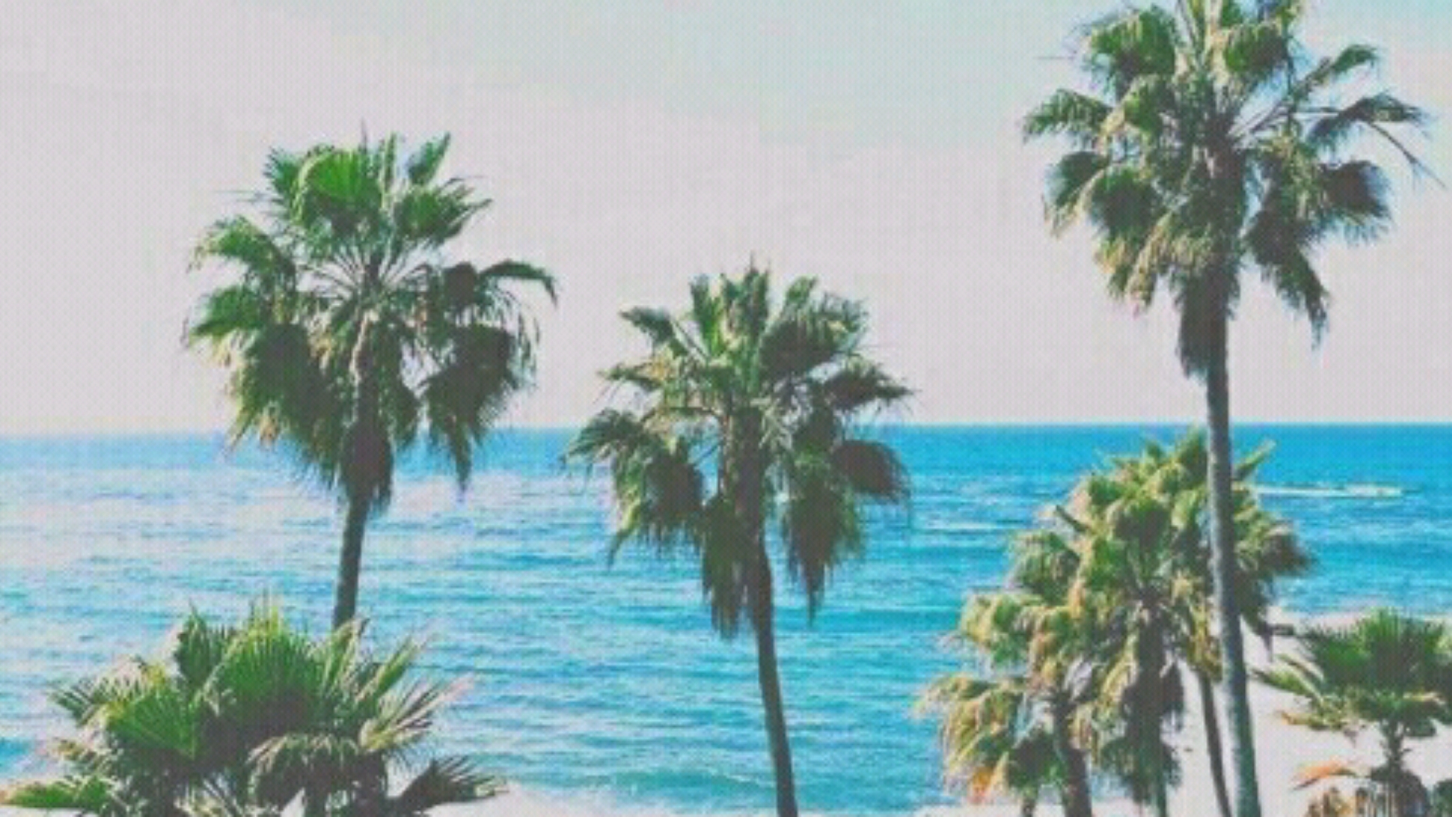 Picsart banner for @harold