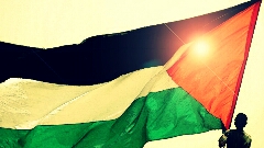 Picsart banner for @palestine