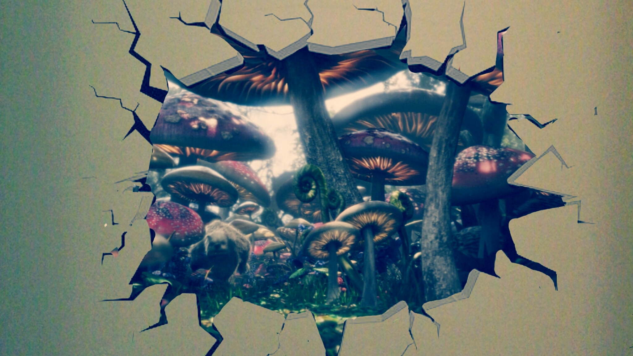 Picsart banner for @insignificant