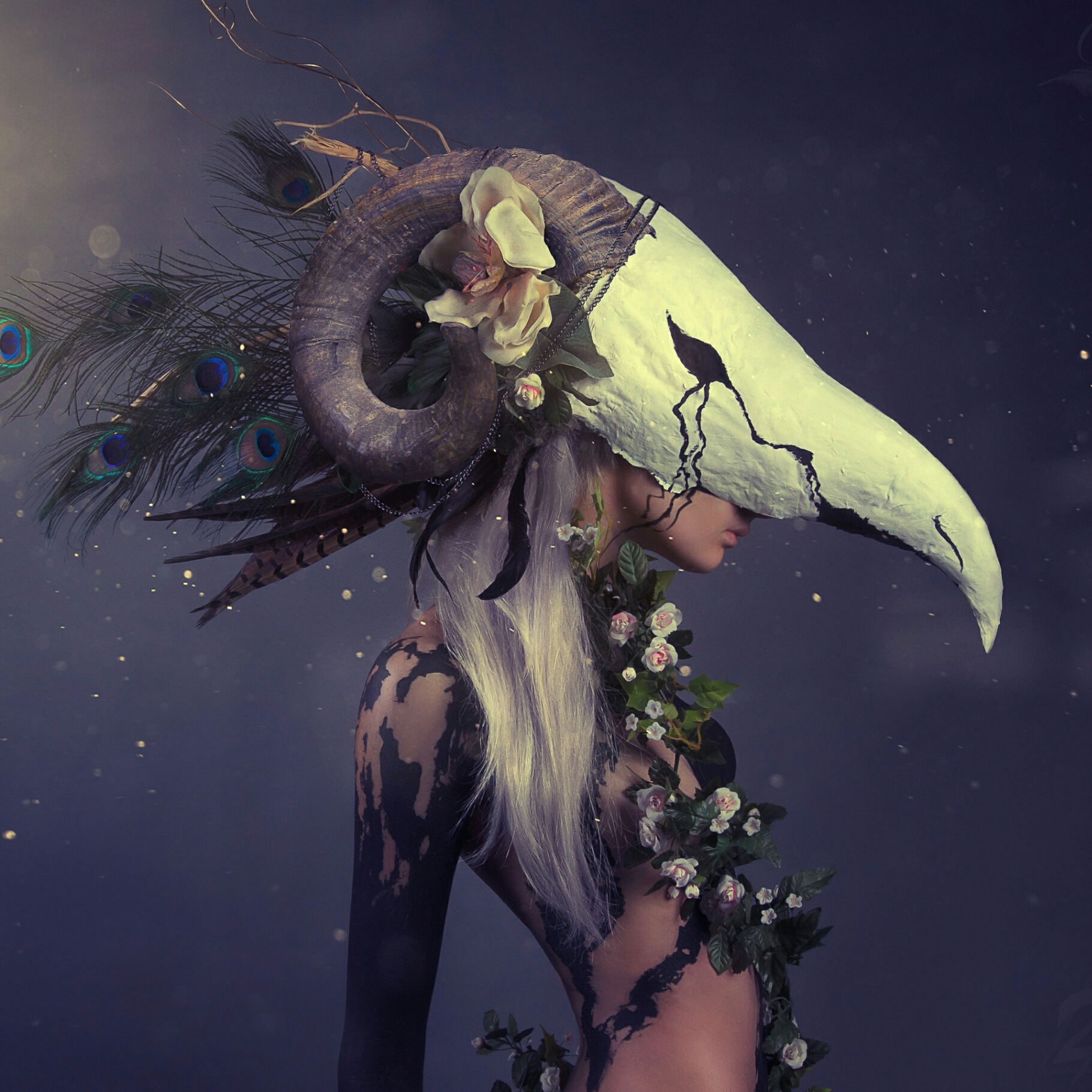 Picsart profile picture for @text